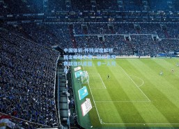 中国体彩-怀特深度解析掘金崛起之道，团队协同铸就强队底蕴，非一人可及