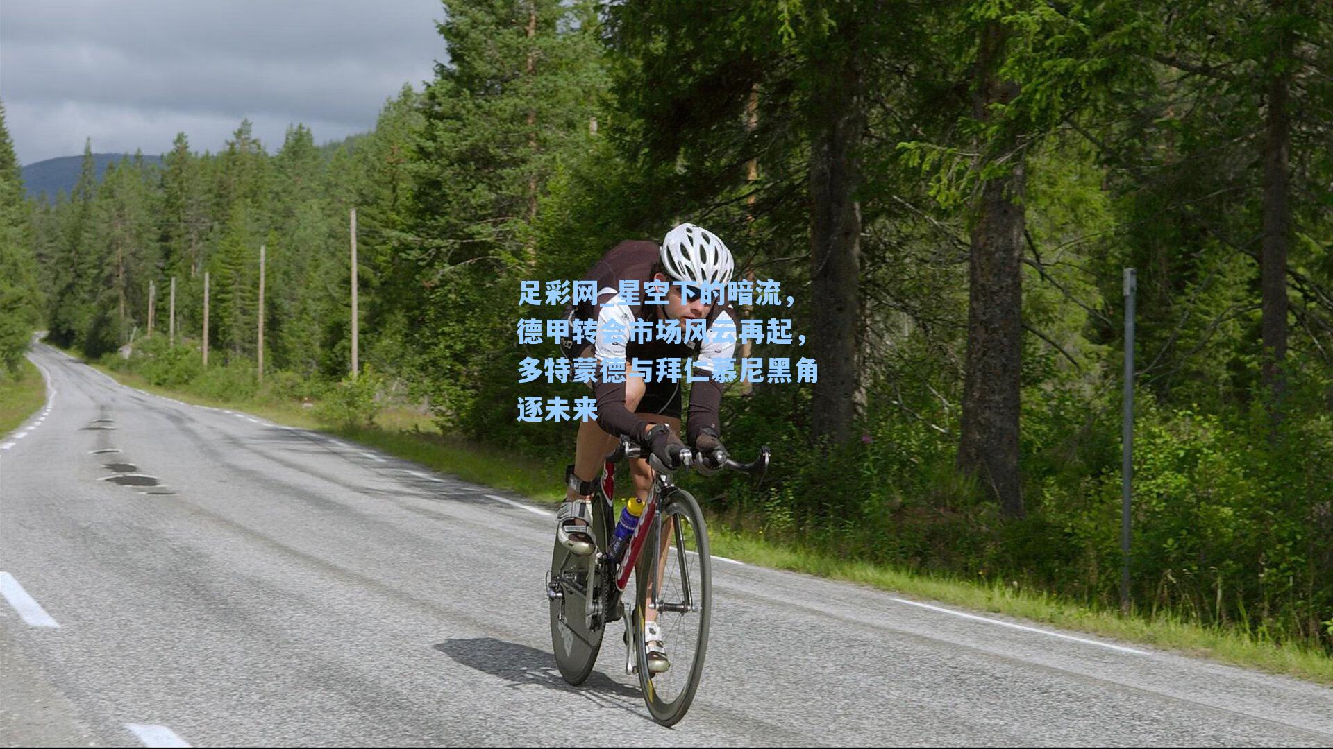 星空下的暗流，德甲转会市场风云再起，多特蒙德与拜仁慕尼黑角逐未来