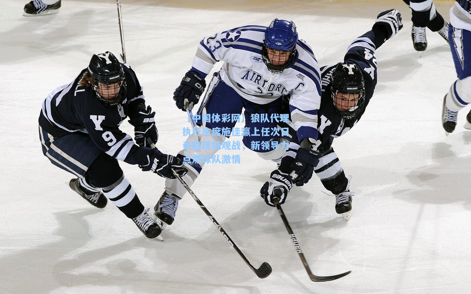 狼队代理执行主席施佳瀛上任次日亲临现场观战，新领导力点燃球队激情